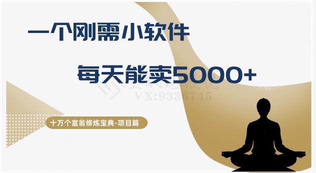 十万个富翁修炼宝典之17.一个刚需小软件，每天能卖5000+-金腾科技