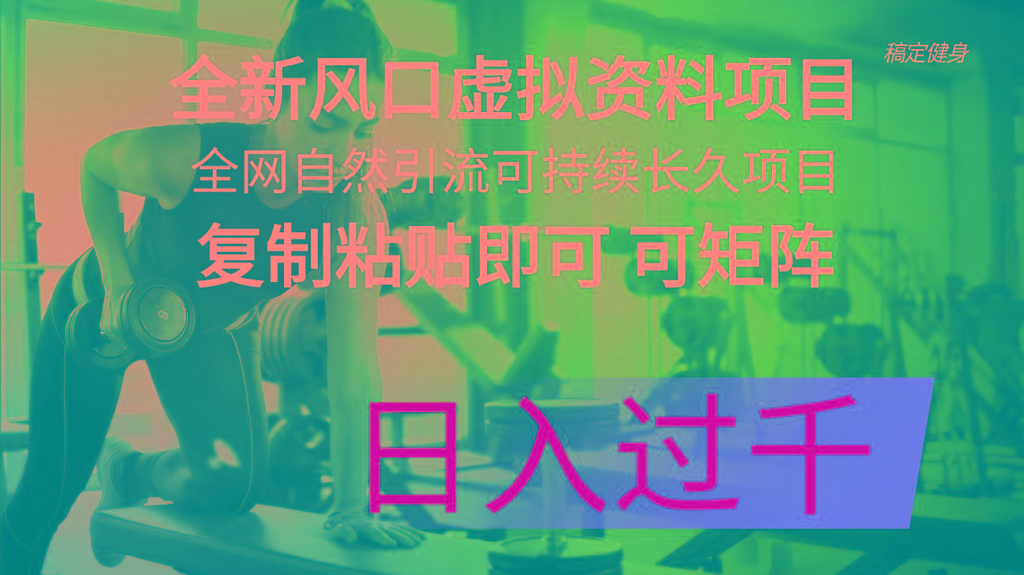 全新风口虚拟资料项目 全网自然引流可持续长久项目 复制粘贴即可可矩阵…-金腾科技