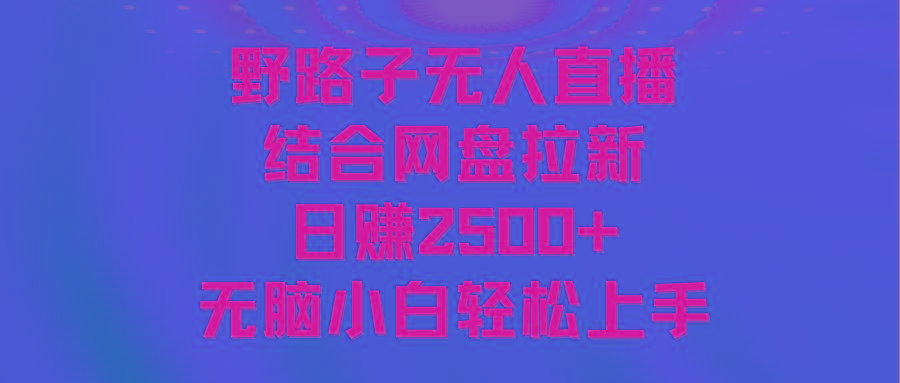 无人直播野路子结合网盘拉新，日赚2500+多平台变现，小白无脑轻松上手操作-金腾科技