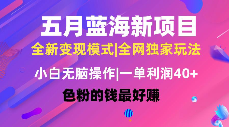五月蓝海项目全新玩法，小白无脑操作，一天几分钟，矩阵操作，月入4万+-金腾科技