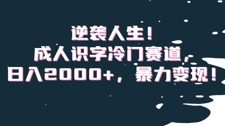 逆袭人生！成人识字冷门赛道，日入2000+，暴力变现！【揭秘】-金腾科技