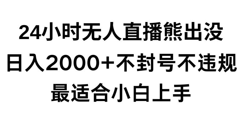 快手24小时无人直播熊出没，不封直播间，不违规，日入2000+，最适合小白上手，保姆式教学【揭秘】-金腾科技