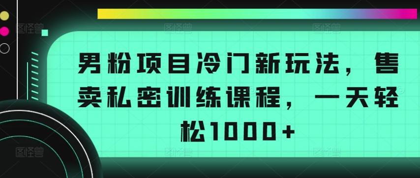 男粉项目冷门新玩法，售卖私密训练课程，一天轻松1000+【揭秘】-金腾科技