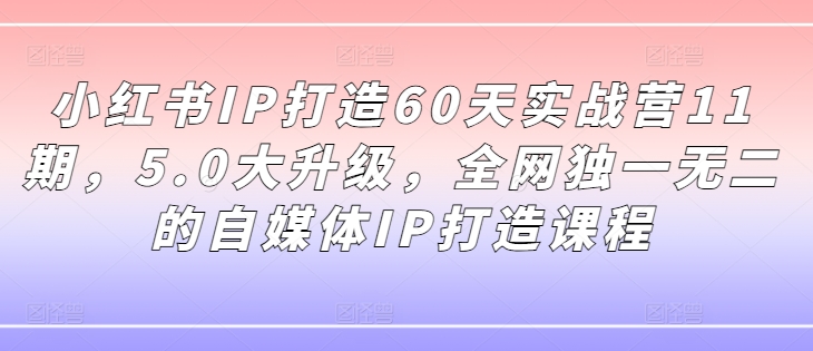 小红书IP打造60天实战营11期，5.0大升级，全网独一无二的自媒体IP打造课程-金腾科技
