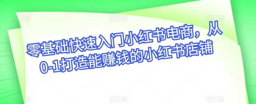 零基础快速入门小红书电商，从0-1打造能赚钱的小红书店铺-金腾科技