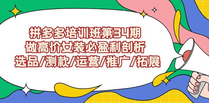 (9333期)拼多多培训班第34期：做高价女装必盈利剖析  选品/测款/运营/推广/拓展-金腾科技