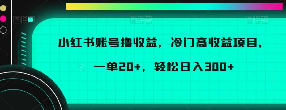 小红书账号撸收益，冷门高收益项目，一单20+，轻松日入300+【揭秘】-金腾科技