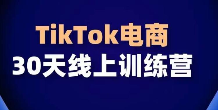 TikTok电商带货30天线上课，不可错过的全球流量洼地！-金腾科技