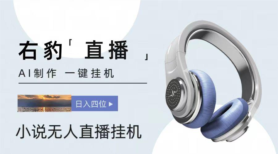 右豹小说无人直播挂机吸金项目，简单易行收益稳定， 月入1000+-金腾科技
