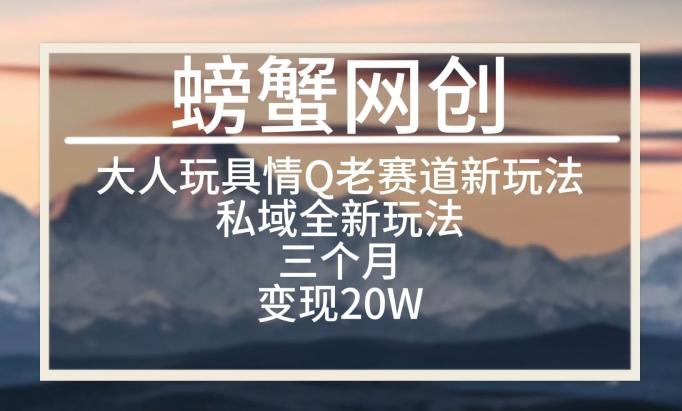 大人玩具情Q用品赛道私域全新玩法，三个月变现20W，老项目新思路【揭秘】-金腾科技