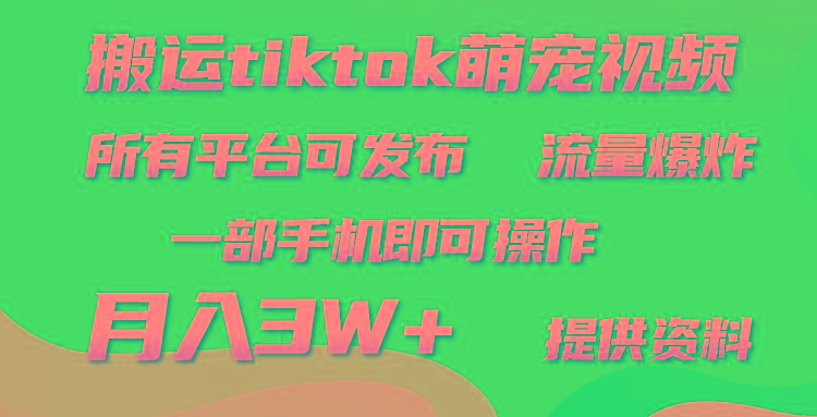 (9618期)搬运Tiktok萌宠类视频，一部手机即可。所有短视频平台均可操作，月入3W+-金腾科技