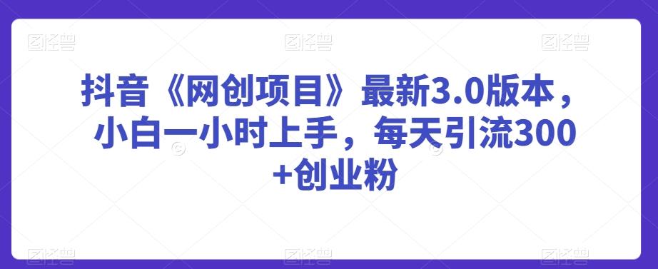 抖音《网创项目》最新3.0版本，小白一小时上手，每天引流300+创业粉【揭秘】-金腾科技