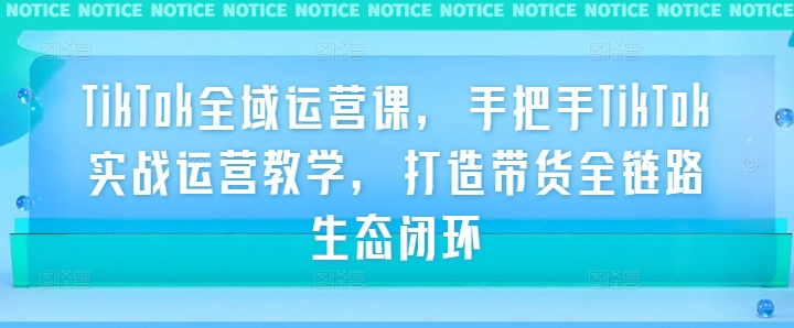 TikTok全域运营课，手把手TikTok实战运营教学，打造带货全链路生态闭环-金腾科技