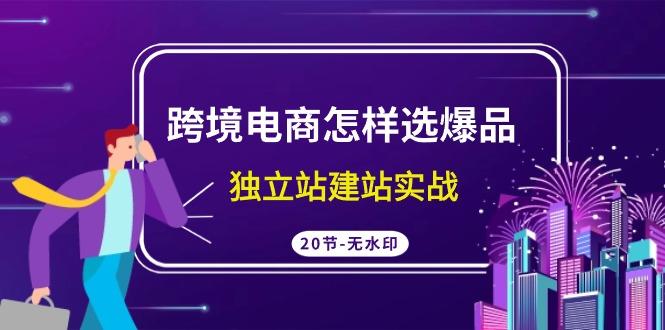 (9369期)跨境电商怎样选爆品，独立站建站实战(20节高清无水印课)-金腾科技