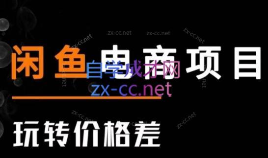 亿创繁星·闲鱼电商项目(玩转价格差)-金腾科技