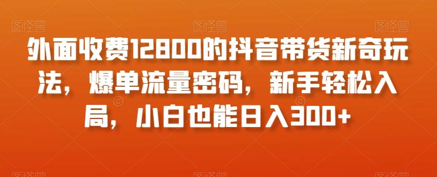 外面收费12800的抖音带货新奇玩法，爆单流量密码，新手轻松入局，小白也能日入300+【揭秘】-金腾科技