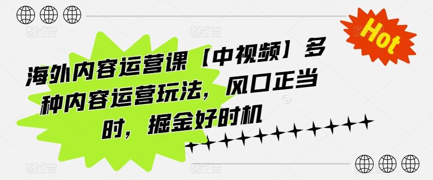 海外内容运营课【中视频】多种内容运营玩法，风口正当时，掘金好时机-金腾科技