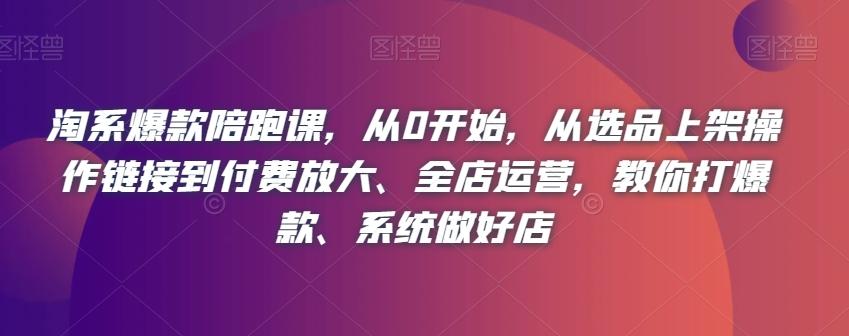 淘系爆款陪跑课，从0开始，从选品上架操作链接到付费放大、全店运营，教你打爆款、系统做好店-金腾科技