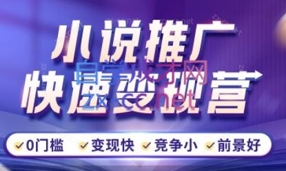 洲洲老师·小说推广快速变现营-金腾科技