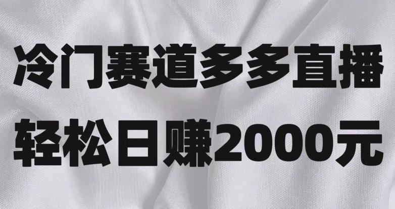 冷门赛道拼多多直播，简单念稿子，日收益2000＋【揭秘】-金腾科技