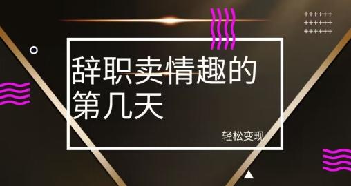 冷门赛道，辞职卖情趣的第几天，超暴力项目-金腾科技