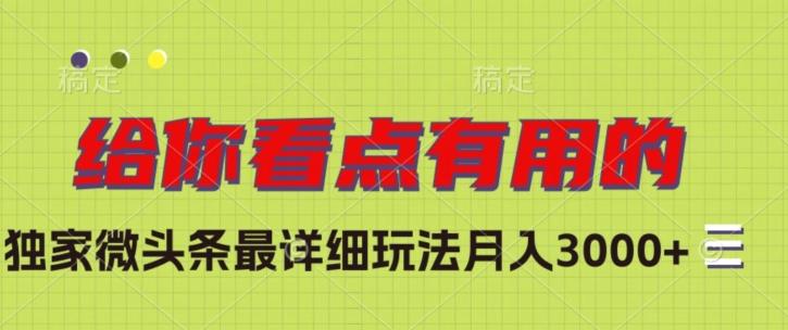 独家微头条最详细玩法，月入3000+【揭秘】-金腾科技