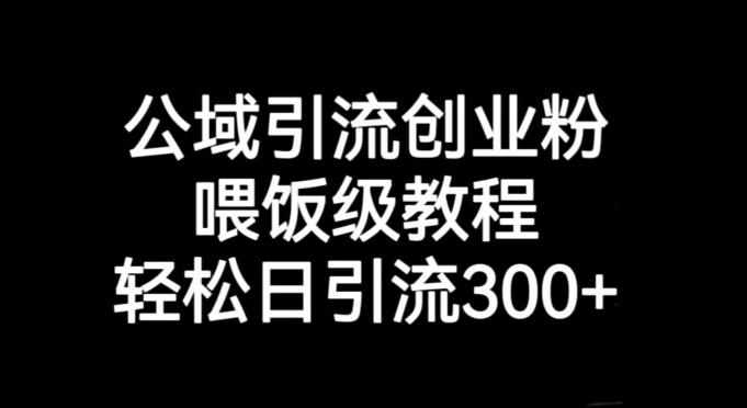 公域引流创业粉，喂饭级教程，轻松日引流300+【揭秘】-金腾科技