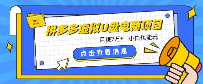 拼多多虚拟U盘电商红利项目：月赚2万+，新手小白也能玩-金腾科技