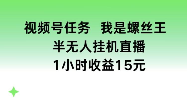视频号任务，我是螺丝王， 半无人挂机1小时收益15元【揭秘】-金腾科技