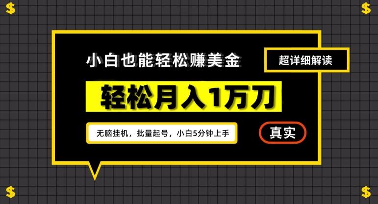 谷歌看广告撸美金2.0，无脑挂机，多号操作，月入1万刀【揭秘】-金腾科技