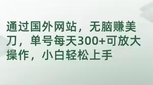 通过国外网站，无脑赚美刀，单号每天300+可放大操作，小白轻松上手【揭秘】-金腾科技