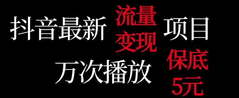 抖音流量变现，万次播放保底5元，额外收入-金腾科技