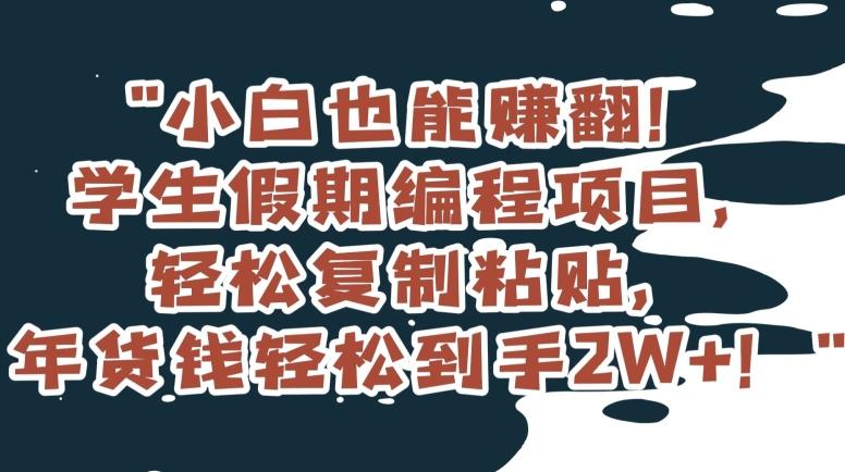 小白也能赚翻！学生假期编程项目，轻松复制粘贴，年货钱轻松到手2W+【揭秘】-金腾科技