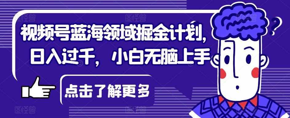 视频号蓝海领域掘金计划，日入过千，小白无脑上手【揭秘】-金腾科技