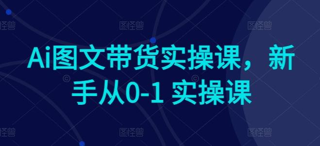 Ai图文带货实操课，新手从0-1 实操课-金腾科技