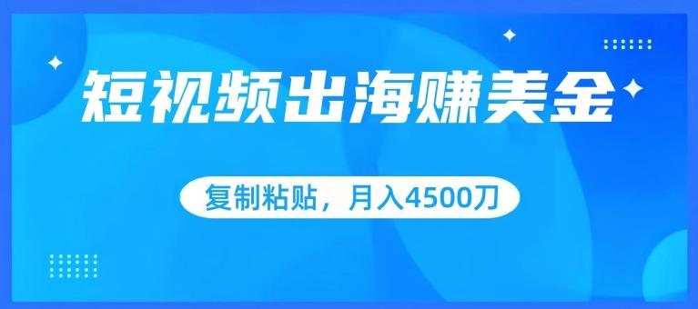 短视频出海赚美金，复制粘贴批量操作，小白轻松掌握，月入4500美刀【揭秘】-金腾科技