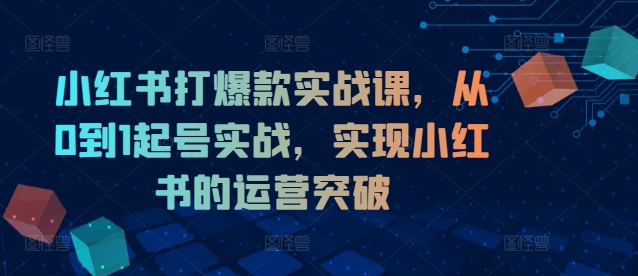 小红书打爆款实战课，从0到1起号实战，实现小红书的运营突破-金腾科技