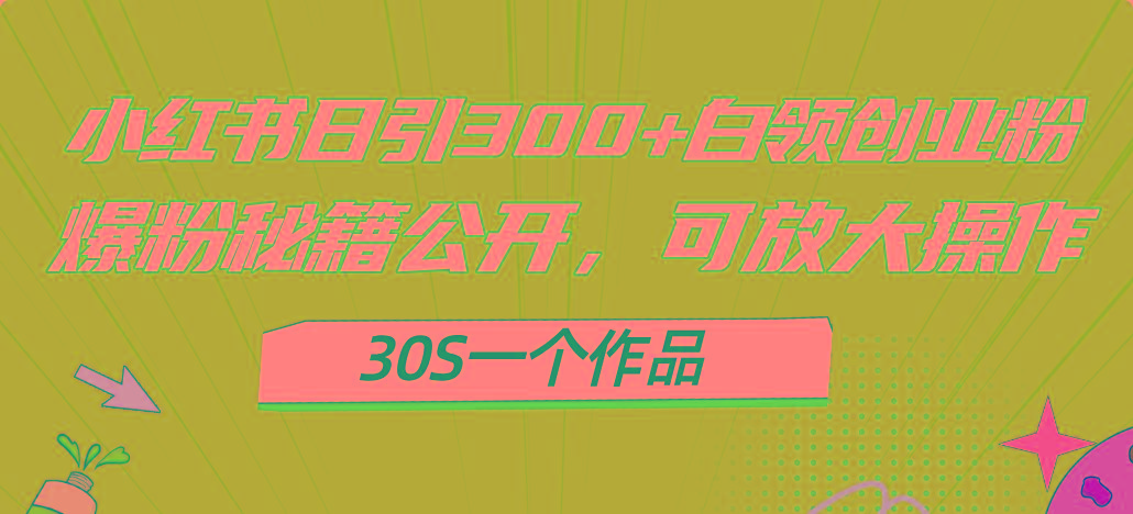 小红书日引300+高质白领创业粉，可放大操作，爆粉秘籍！30s一个作品-金腾科技