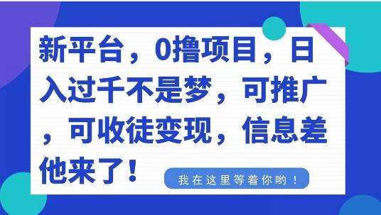 不要再花冤枉钱了，0撸项目，每天坚持，稳定1000+-金腾科技
