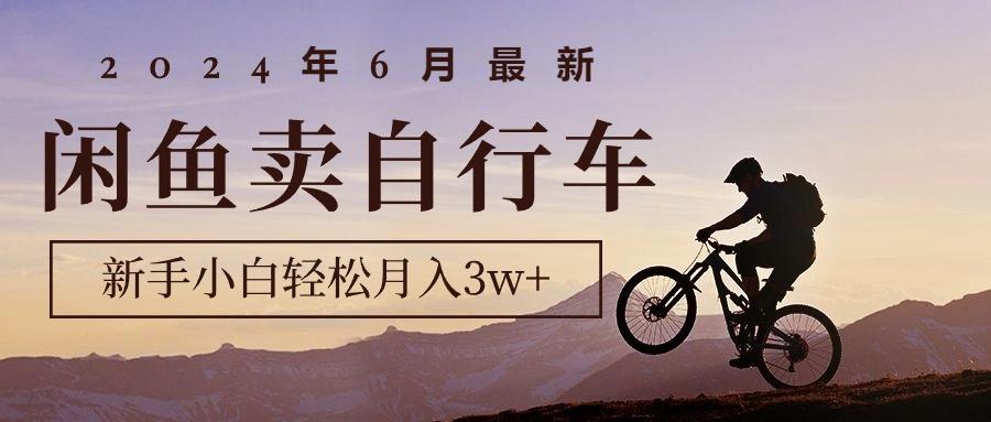 2024年6月最新闲鱼卖自行车，新手小白轻松月入3w+项目-金腾科技