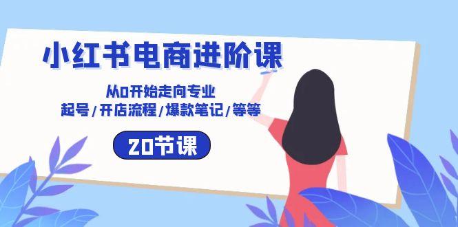 小红书电商进阶课：从0开始走向专业 起号/开店流程/爆款笔记/等等(20节-金腾科技