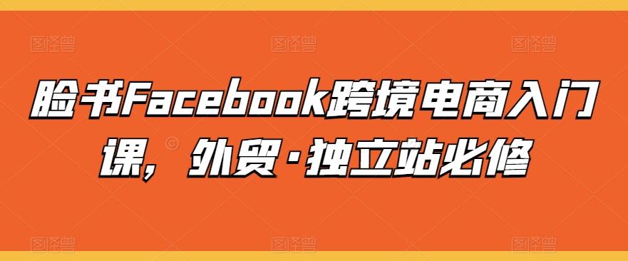 脸书Facebook跨境电商入门课，外贸·独立站必修-金腾科技