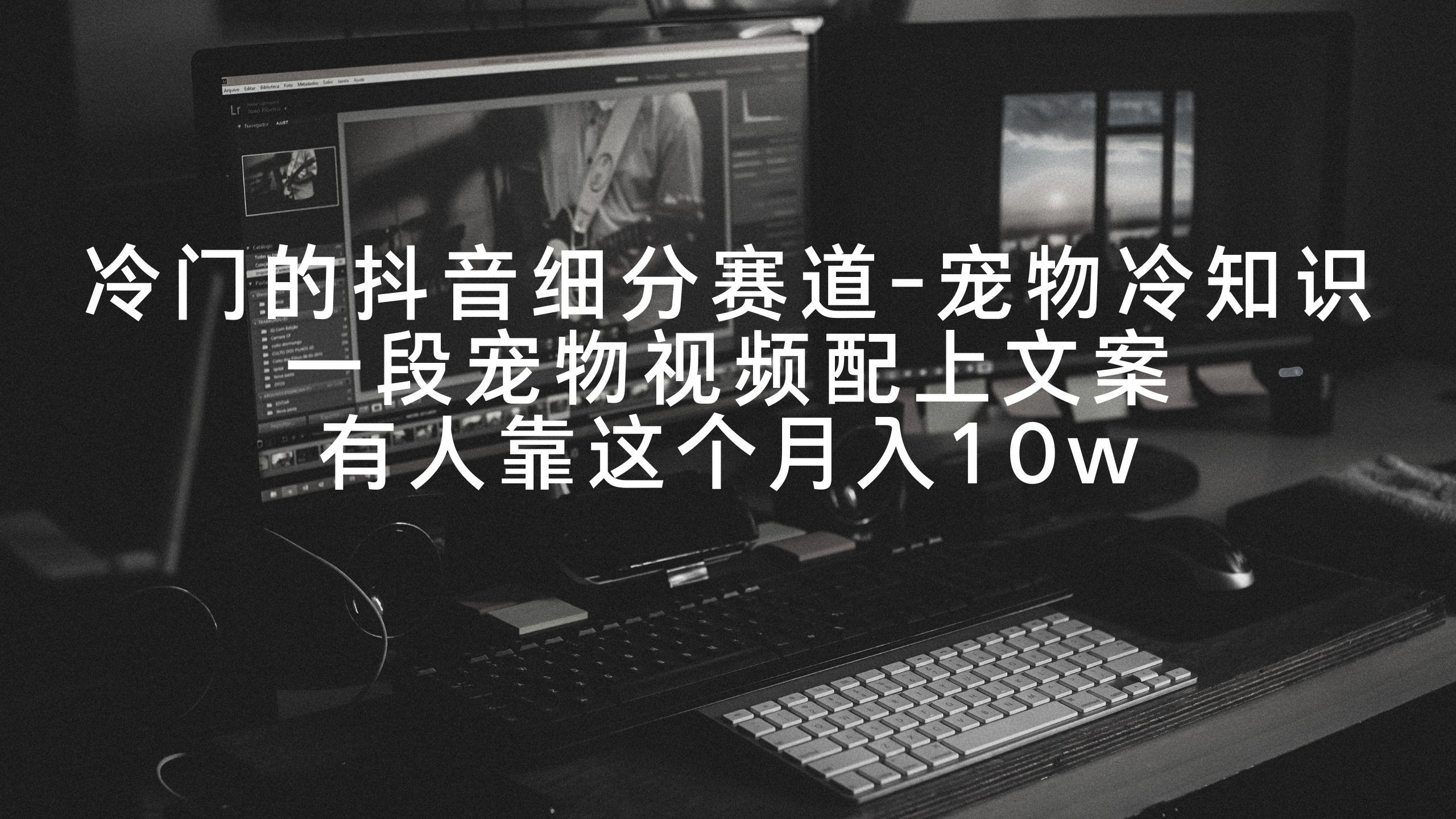 冷门的抖音细分赛道-宠物冷知识，一段宠物视频配上文案，有人靠这个月入10w-金腾科技