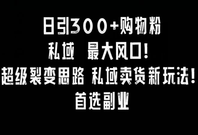 日引300+购物粉，超级裂变思路，私域卖货新玩法，小红书首选副业【揭秘】-金腾科技