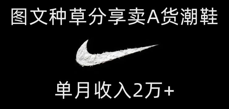 靠图文种草分享卖A货潮鞋，每天一小时，单月收入2万+【揭秘】-金腾科技