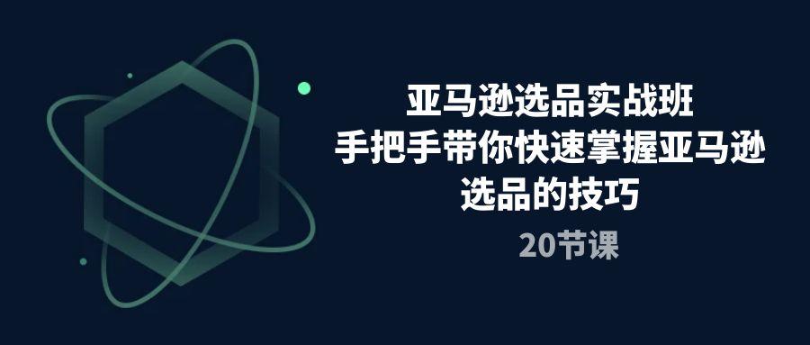 亚马逊选品实战班，手把手带你快速掌握亚马逊选品的技巧(20节课-金腾科技