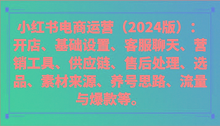 小红书电商运营(2024版)：开店、设置、供应链、选品、素材、养号、流量与爆款等-金腾科技