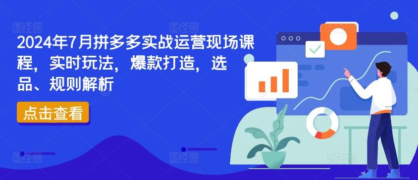 2024年7月拼多多实战运营现场课程，实时玩法，爆款打造，选品、规则解析-金腾科技