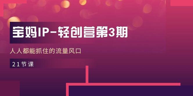 宝妈IP-轻创营第3期，人人都能抓住的流量风口(21节课-金腾科技