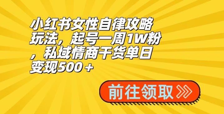 小红书女性自律攻略玩法，起号一周1W粉，私域情商干货单日变现500＋-金腾科技